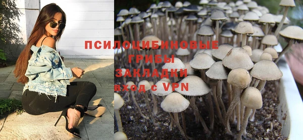 синтетический гашиш Богородск