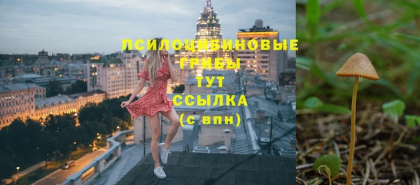 прущие крисы Михайловск