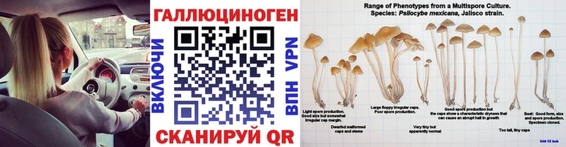 Купить где  Лесозаводск  Псилоцибиновые грибы ЛСД 